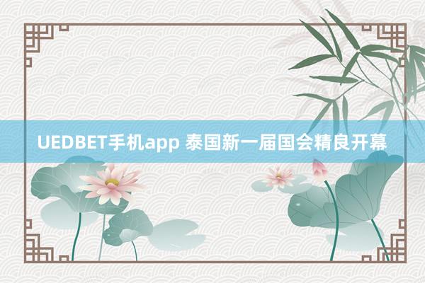 UEDBET手机app 泰国新一届国会精良开幕