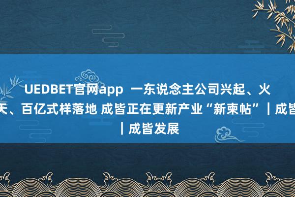 UEDBET官网app  一东说念主公司兴起、火箭问天、百亿式样落地 成皆正在更新产业“新柬帖”｜成皆发展