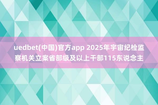 uedbet(中国)官方app 2025年宇宙纪检监察机关立案省部级及以上干部115东说念主