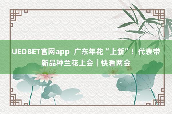 UEDBET官网app  广东年花“上新”！代表带新品种兰花上会｜快看两会
