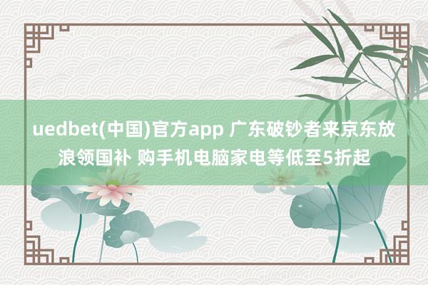 uedbet(中国)官方app 广东破钞者来京东放浪领国补 购手机电脑家电等低至5折起