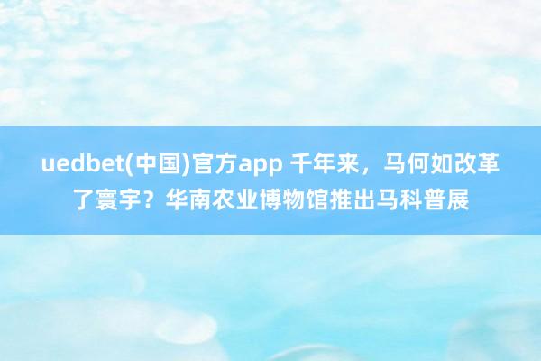 uedbet(中国)官方app 千年来，马何如改革了寰宇？华南农业博物馆推出马科普展