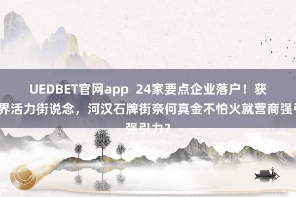 UEDBET官网app  24家要点企业落户！获评世界活力街说念，河汉石牌街奈何真金不怕火就营商强引力？