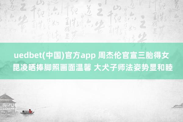 uedbet(中国)官方app 周杰伦官宣三胎得女 昆凌晒捧脚照画面温馨 大犬子师法姿势显和睦