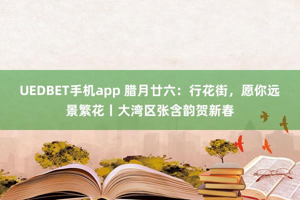 UEDBET手机app 腊月廿六：行花街，愿你远景繁花丨大湾区张含韵贺新春