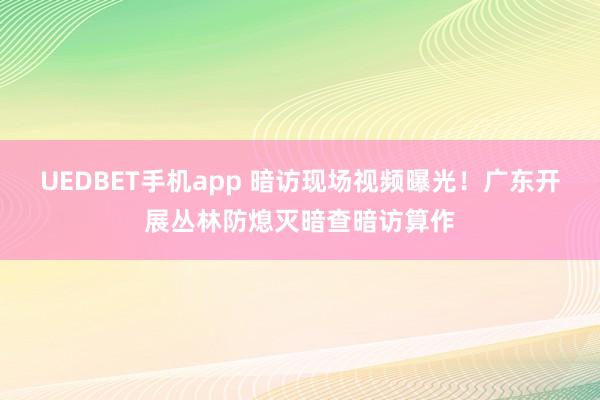 UEDBET手机app 暗访现场视频曝光！广东开展丛林防熄灭暗查暗访算作