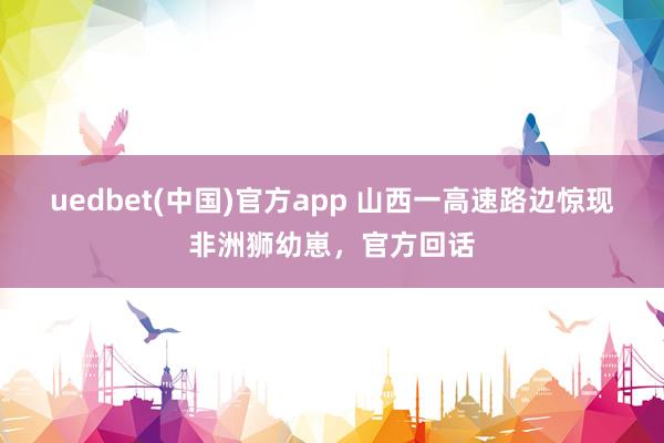 uedbet(中国)官方app 山西一高速路边惊现非洲狮幼崽，官方回话