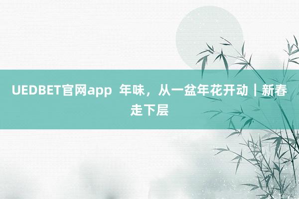 UEDBET官网app  年味，从一盆年花开动｜新春走下层