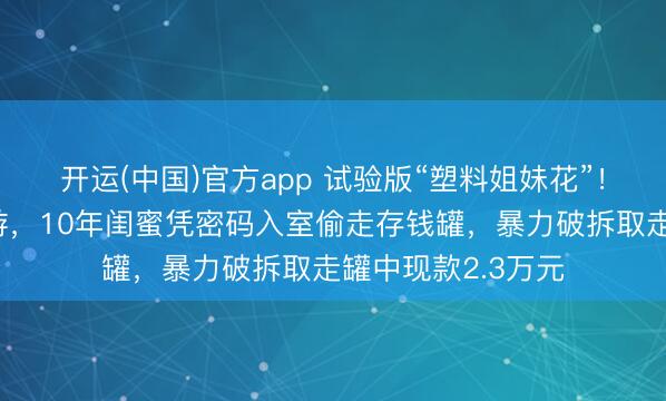 开运(中国)官方app 试验版“塑料姐妹花”！上海女子外出旅游，10年闺蜜凭密码入室偷走存钱罐，暴力破拆取走罐中现款2.3万元