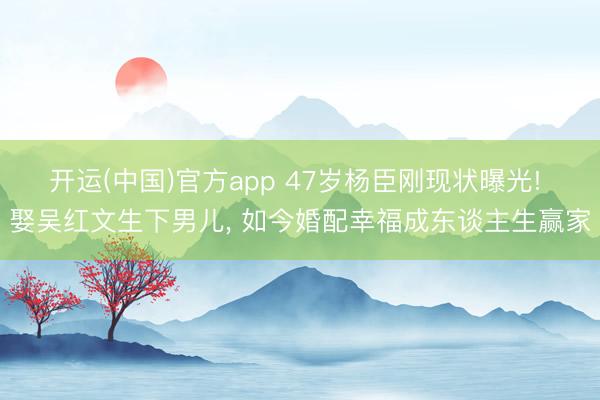 开运(中国)官方app 47岁杨臣刚现状曝光! 娶吴红文生下男儿， 如今婚配幸福成东谈主生赢家