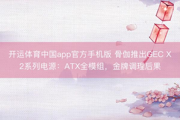 开运体育中国app官方手机版 骨伽推出GEC X2系列电源：ATX全模组，金牌调理后果