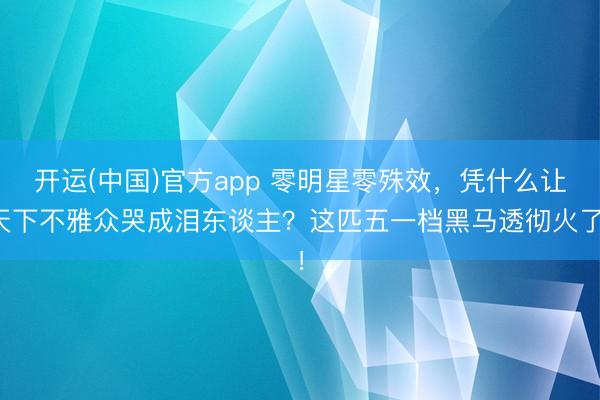 开运(中国)官方app 零明星零殊效，凭什么让天下不雅众哭成泪东谈主？这匹五一档黑马透彻火了！