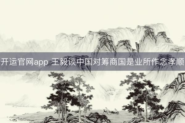 开运官网app 王毅谈中国对筹商国是业所作念孝顺