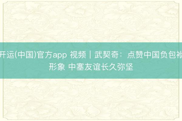 开运(中国)官方app 视频｜武契奇：点赞中国负包袱形象 中塞友谊长久弥坚