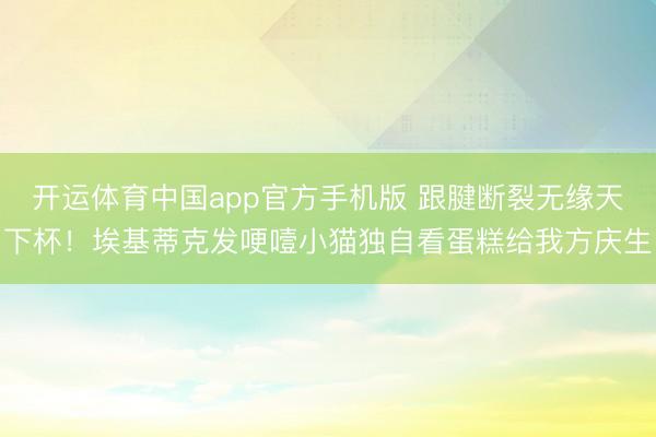 开运体育中国app官方手机版 跟腱断裂无缘天下杯！埃基蒂克发哽噎小猫独自看蛋糕给我方庆生